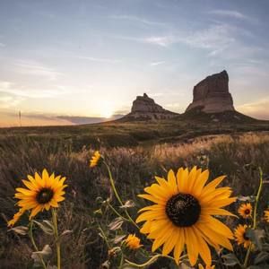 Meet your Posher, Amy reimers